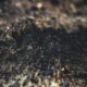 Malaysia rare earth investment 2026 Lynas Carester magnet processing boom